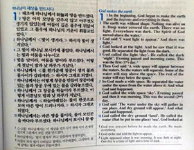 Korean English parallel Bible